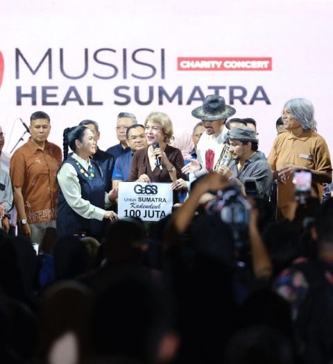 musisi-heal-sumatra